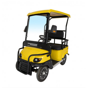 Гольфкар GreenCamel A2 ECO (2 seats 800W R8) пониженная